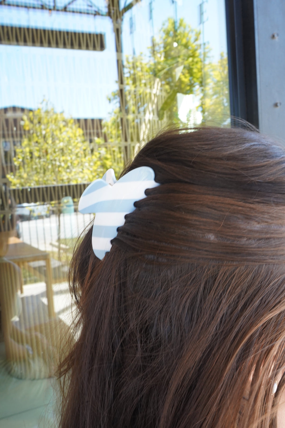 Classic Hair Clips