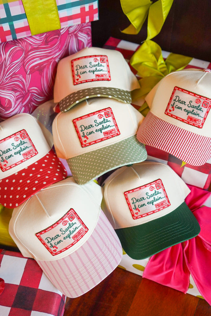 Dear Santa, I Can Explain Hat
