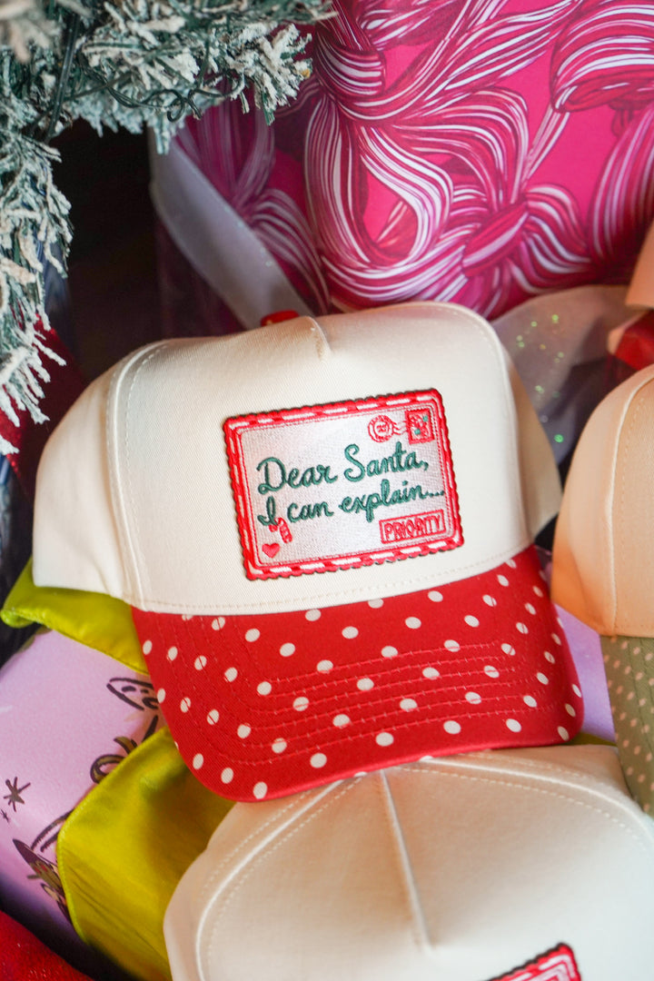 Dear Santa, I Can Explain Hat